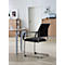 Schäfer Shop Select Sledestoel SSI Proline Visit S2, zwart