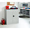 Schäfer Shop Select Stahlschrank, 2 OH, 2 höhenverstellbare Einlegeböden, Drehzylinderschloss, B 916 x T 422 x H 1000 mm, lichtgrau RAL 7035/lichtgrau RAL 7035