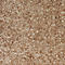 Schmutzfangmatte, 400 x 600 mm, beige