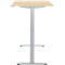 Schreibtisch, elektrisch höhenverstellbar, Rechteck, T-Fuss, B 1200 x T 800 x H 720-1200 mm, Ahorn-Dekor/silber