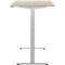 Schreibtisch, elektrisch höhenverstellbar, Rechteck, T-Fuss, B 1200 x T 800 x H 720-1200 mm, Eiche-Dekor/silber