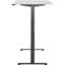 Schreibtisch, elektrisch höhenverstellbar, Rechteck, T-Fuss, B 1200 x T 800 x H 720-1200 mm, lichtgrau/schwarz