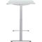 Schreibtisch, elektrisch höhenverstellbar, Rechteck, T-Fuss, B 1200 x T 800 x H 720-1200 mm, lichtgrau/silber