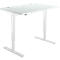 Schreibtisch, elektrisch höhenverstellbar, Rechteck, T-Fuß, B 1200 x T 800 x H 755-1255 mm, lichtgrau/weiß 