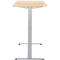 Schreibtisch, elektrisch höhenverstellbar, Rechteck, T-Fuss, B 1300 x T 650 x H 720-1200 mm, Ahorn-Dekor/silber