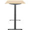 Schreibtisch, elektrisch höhenverstellbar, Rechteck, T-Fuss, B 1600 x T 800 x H 720-1200 mm, Ahorn-Dekor/schwarz