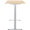 Schreibtisch, elektrisch höhenverstellbar, Rechteck, T-Fuss, B 1600 x T 800 x H 720-1200 mm, Ahorn-Dekor/silber