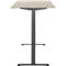 Schreibtisch, elektrisch höhenverstellbar, Rechteck, T-Fuss, B 1600 x T 800 x H 720-1200 mm, Eiche-Dekor/schwarz