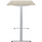 Schreibtisch, elektrisch höhenverstellbar, Rechteck, T-Fuss, B 1600 x T 800 x H 720-1200 mm, Eiche-Dekor/silber