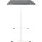 Schreibtisch, elektrisch höhenverstellbar, Rechteck, T-Fuss, B 1600 x T 800 x H 720-1200 mm, graphit/weiss