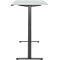 Schreibtisch, elektrisch höhenverstellbar, Rechteck, T-Fuss, B 1600 x T 800 x H 720-1200 mm, lichtgrau/schwarz