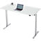 Schreibtisch, elektrisch höhenverstellbar, Rechteck, T-Fuss, B 1600 x T 800 x H 720-1200 mm, lichtgrau/silber