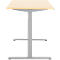 Schreibtisch, elektrisch höhenverstellbar, T-Fuß, B 1600 x T 800 x H 615-1275 mm, Ahorn/weißalu