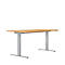 Schreibtisch ERGO DRIVE ED 470, elektrisch höhenverstellbar, Rechteck, T-Fuß, B 1600 x T 800 x H 692-1147 mm, Buche/lichtgrau