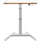 Schreibtisch LEITZ Ergo, Rechteck, elektrisch höhenverstellbar, T-Fuß, Memory-Funktion, USB-Anschlüsse, Kabelhalter, B 800 x T 600 x H 650-1300 mm, weiß/weiß