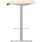 Schreibtisch, Rechteck, elektrisch höhenverstellbar, T-Fuß, B 1200 x T 800 x H 620-1280 mm, inkl. Memory Master, Ahorn-Dekor/silber