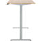 Schreibtisch, Rechteck, elektrisch höhenverstellbar, T-Fuß, B 1200 x T 800 x H 620-1280 mm, inkl. Memory Master, Eiche-Dekor/silber