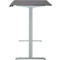 Schreibtisch, Rechteck, elektrisch höhenverstellbar, T-Fuß, B 1200 x T 800 x H 620-1280 mm, inkl. Memory Master, graphit/silber