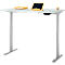 Schreibtisch, Rechteck, elektrisch höhenverstellbar, T-Fuß, B 1200 x T 800 x H 620-1280 mm, inkl. Memory Master, lichtgrau/silber