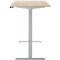Schreibtisch, Rechteck, elektrisch höhenverstellbar, T-Fuß, B 1600 x T 800 x H 620-1280 mm, inkl. Memory Master, Eiche-Dekor/silber