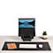 Ein Schreibtisch mit Monitor, Tastatur, Maus, Notizbuch und einer Pflanze.