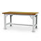 Schwerlasttisch Bedrunka+Hirth, höhenverstellbar, bis 1000 kg, Buche-Multiplex-Arbeitsplatte, B 2000 x T 750 x H 734-1084 mm