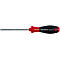 Screwdriver with red and black handle, T20x100 marking.