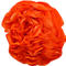 Seidenpapier Clairefontaine, 500 x 750 mm, wasserfest, gefalzt, 24 Bögen, orange