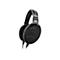 Sennheiser HD 650 - Kopfhörer - ohrumschließend - kabelgebunden - 6,35 mm Stecker - Titan