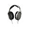 Sennheiser HD 650 - Kopfhörer - ohrumschließend - kabelgebunden - 6,35 mm Stecker - Titan