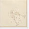 Serviettes Papstar 'ROYAL Collection', ¼ de pli, 400 x 400 mm, 20 pièces, or