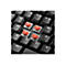 Sharkoon PureWriter TKL RGB - Tastatur - Hintergrundbeleuchtung - USB - Deutsch - Tastenschalter: Kailh Blue
