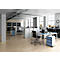 Office with desks, chairs, cabinets, and windows.