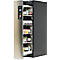 Sicherheitsschrank Typ 90 Asecos V-MOVE-90, 1 Vertikalauszug, Anthrazitgrau/Edelstahl