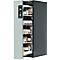 Sicherheitsschrank Typ 90 Asecos V-MOVE-90, 1 Vertikalauszug, Anthrazitgrau/Lichtgrau