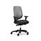 Siège de bureau 353 Giroflex, avec accoudoirs, mécanisme synchrone automatique, assise galbée, dossier 3D en filet, gris/noir
