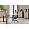 Siège de bureau Dauphin to-strike work comfort pro, avec accoudoirs, mécanisme synchrone, assise profilée, noir