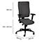 Siège de bureau SSI Proline P1 - mécanisme synchrone - soutien lombaire - arrondi pour les genoux - avec accoudoirs - anthracite - Schäfer Shop Pure