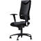 Siège de bureau SSI Proline P1 - mécanisme synchrone - soutien lombaire - arrondi pour les genoux - avec accoudoirs - noir - Schäfer Shop Pure