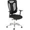 Siège de bureau Topstar Net Pro 100, avec accoudoirs, mécanisme synchrone ponctuel, assise ergonomique, dossier résille, Stiftung Warentest GUT 2,3, noir/argenté