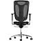 Siège de bureau Topstar Net Pro 100, avec accoudoirs, mécanisme synchrone ponctuel, assise ergonomique, dossier résille, Stiftung Warentest GUT 2,3, noir/argenté