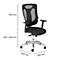Siège de bureau Topstar Net Pro 100, avec accoudoirs, mécanisme synchrone ponctuel, assise ergonomique, dossier résille, Stiftung Warentest GUT 2,3, noir/argenté