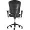 Siège de bureau WELLNESS 300, mécanisme synchrone, avec accoudoirs, dossier extra haut