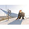 SKYLOTEC INCEPTOR GRX industriële klimhelm, wit, PC/ABS, EN 12492, hoofdomtrek 54-63 cm