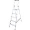 A silver aluminum step ladder with five steps and a black handrail.