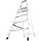 Aluminum ladder with five steps, standing against a white background.