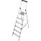 A silver step ladder with six steps and a black handle. It stands on a white background.