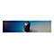 Sony SRS-XV800 - X-Series - Party-Soundsystem - tragbar - kabellos - Bluetooth