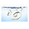 Soundcore AeroFit - True Wireless-Kopfhörer mit Mikrofon - offenes Ohr - über dem Ohr angebracht - Bluetooth - Calm White