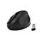 Souris sans fil Kensington Pro Fit Ergo, double connexion sans fil, 5 boutons, mode économie d'énergie, noir